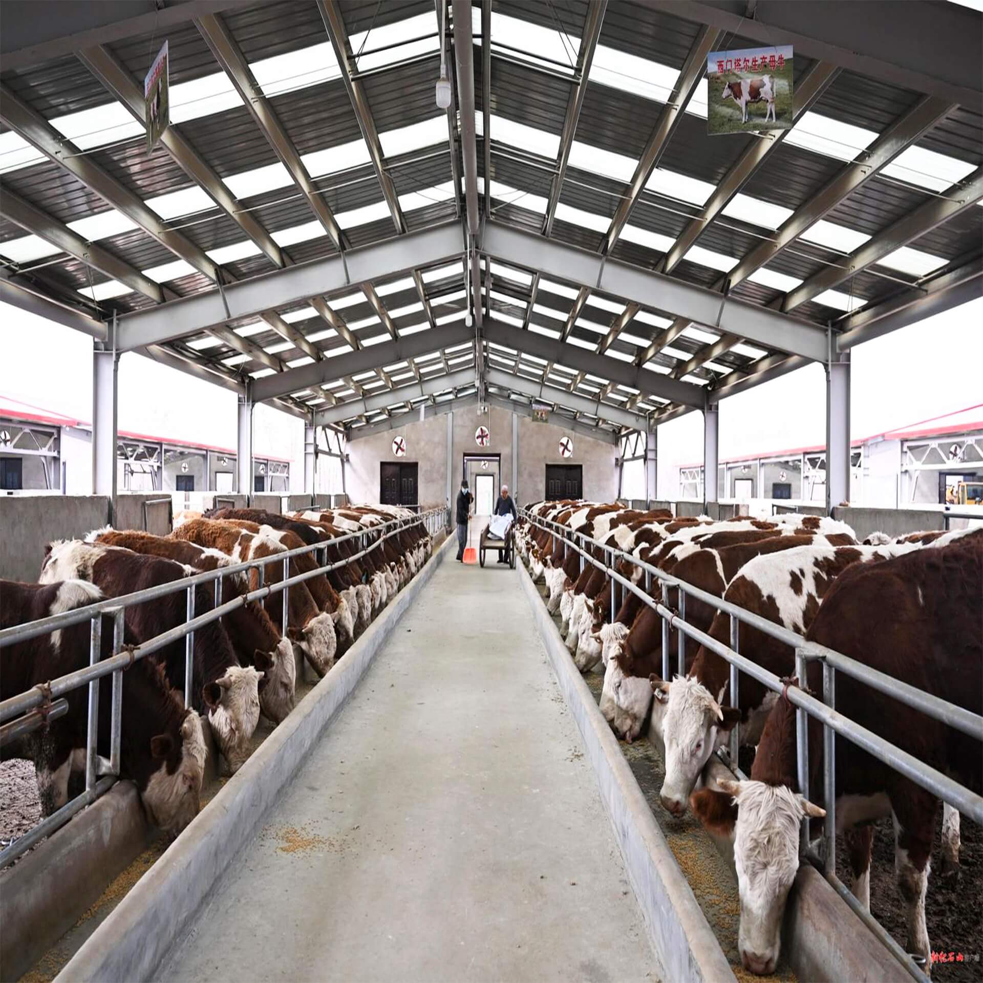 Steel Structure Farm